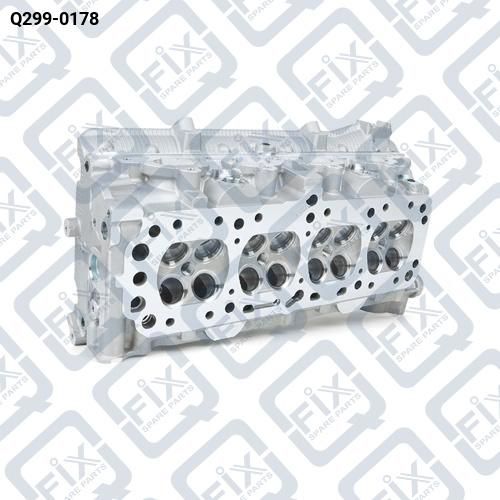ГОЛОВКА БЛОКА ЦИЛИНДРОВ (ГОЛАЯ) Q299-0178